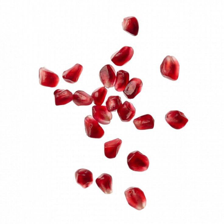 Algue rouge